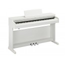 WH - Trắng  +300.000₫ 