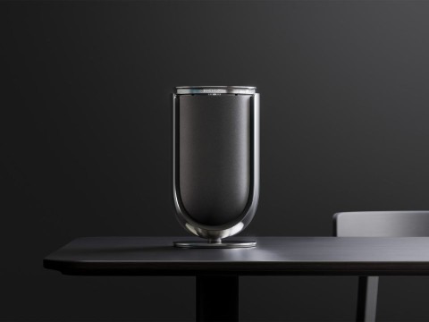 Loa B&O Beolab 8 - Grey (New)