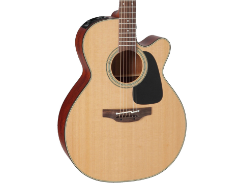 Acoustic Takamine P1NC