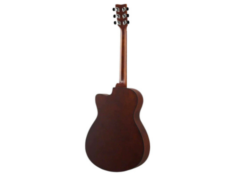 Acoustic Yamaha FS100C