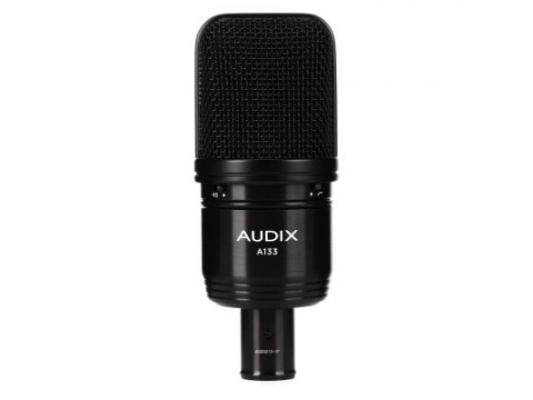 AUDIX A133