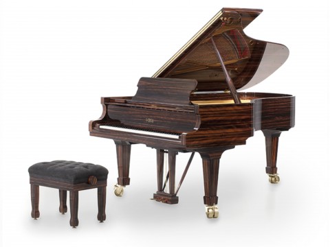 [SPECIAL] FAZIOLI MACASSAR