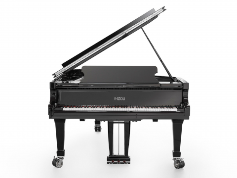 [SPECIAL] FAZIOLI SILVER