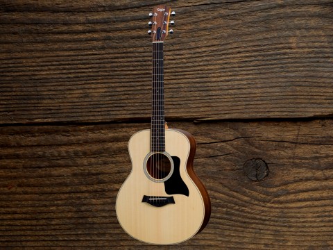 Taylor GSMINI E Rosewood