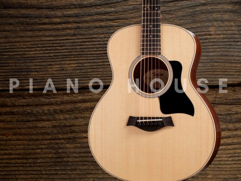 Taylor GSMINI E Rosewood