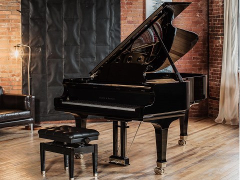 Mason & Hamlin Model BB (VX Series) - Artist Grand