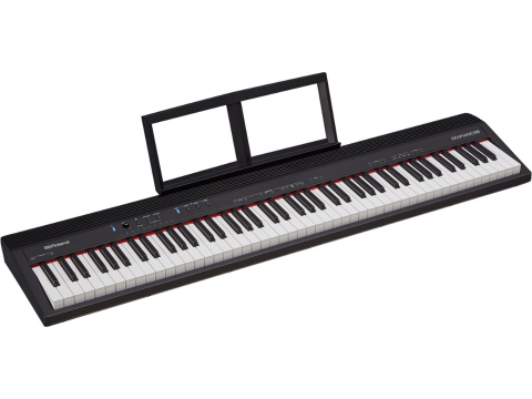 Roland Go 88-P