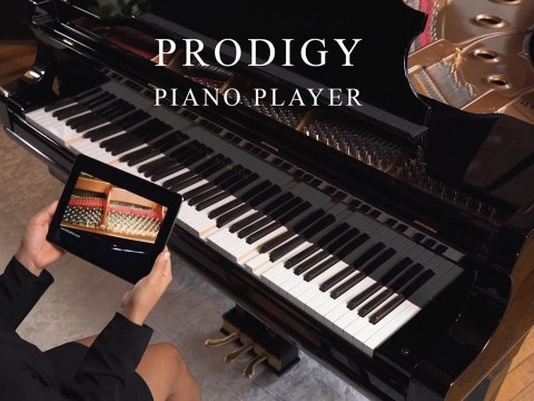 PIANODISC (+RECORD)
