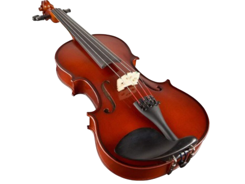 Violin Selmer SR41E2H