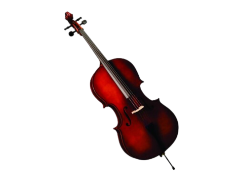 Violin Selmer SR43E3H