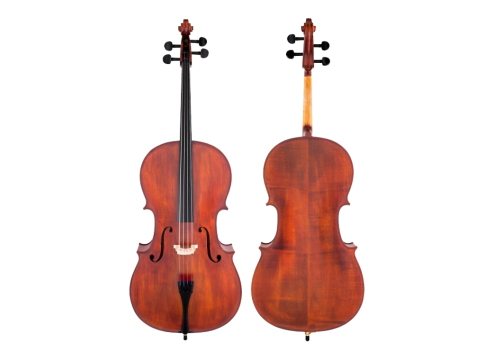 Violin Selmer SR51SE4H