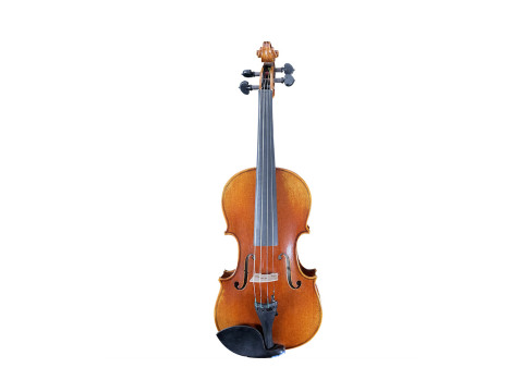 Violin Vân Vẽ Strad Classic Size 3/4
