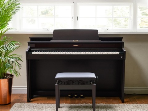 Casio AP-550 Rosewood (R)