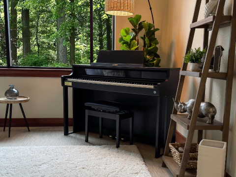 Casio AP-750 Black (BK)