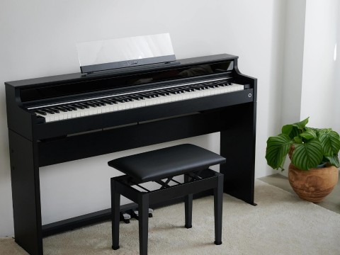 Casio AP-S450 Black (BK)