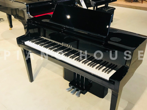 KAWAI NV10S Hybrid