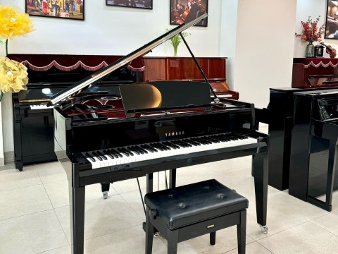 AVANT GRAND N3X (NEW)