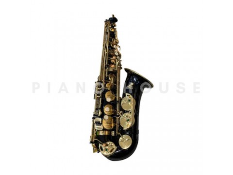 Kèn Saxophone Alto AS100BK4