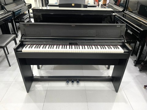 ROLAND DP-603 CBS (New)