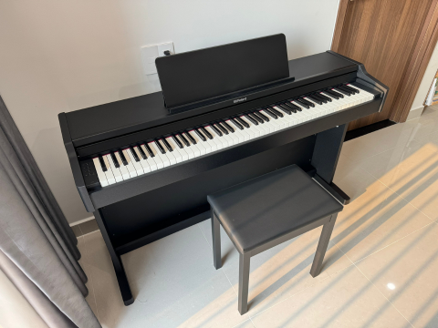 ROLAND RP-107 (USED)