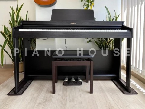 ROLAND RP-701 DR (Used)