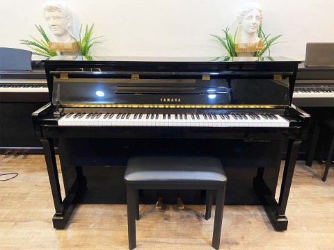 YAMAHA DUP-10 PE