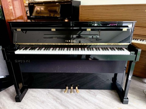 YAMAHA DUP-22 PE