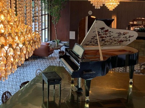 [Collector's Item] CAMELIA