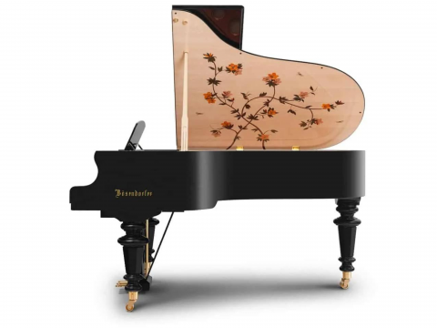 [Collector's Item] DRAGONFLY