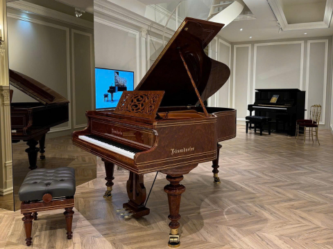 [Ultimate Designed] LISZT