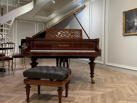 [Ultimate Designed] LISZT