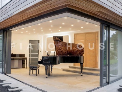 [Collector's Item] WOMAN IN GOLD