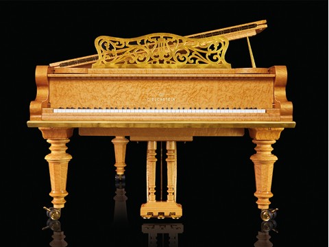 C.Bechstein BIRDS EYE MAPLE