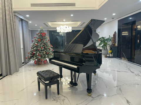 C.Bechstein Academy A175