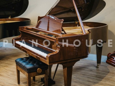 Concert A192 (Walnut with Brass)