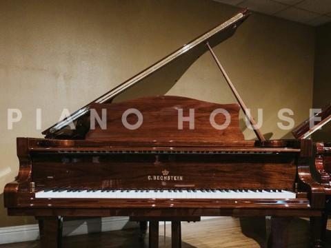 Concert A192 (Walnut with Brass)