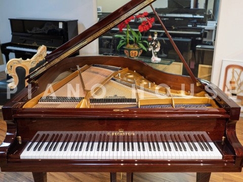 C.Bechstein Concert L167 (Mahogany with Brass)