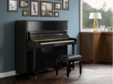 C.Bechstein R6 (Residence Series)