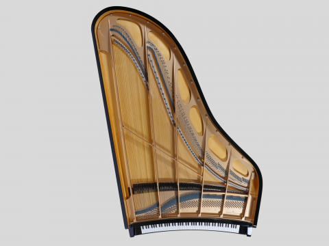 THE MAENE-VIÑOLY CONCERT GRAND