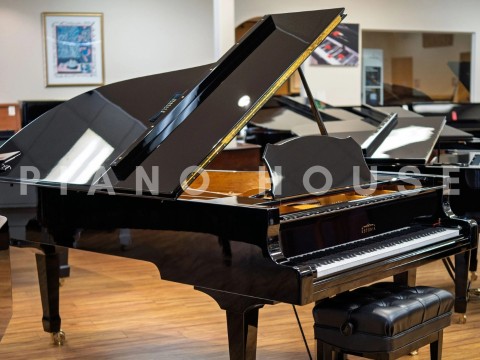 Estonia L225 Polish Ebony