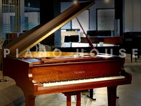 FEURICH 162 - "DYNAMIC I" (Satin Walnut)