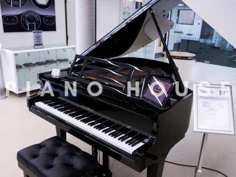 FEURICH 179 - "DYNAMIC II" (Black Polish & Chrome)