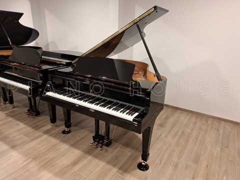 Wilhelm Grotrian WGS165