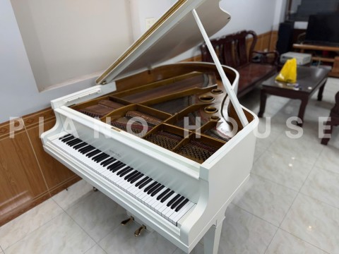Grand Piano Horugel