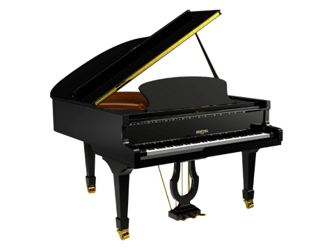 Pleyel P170-BLK