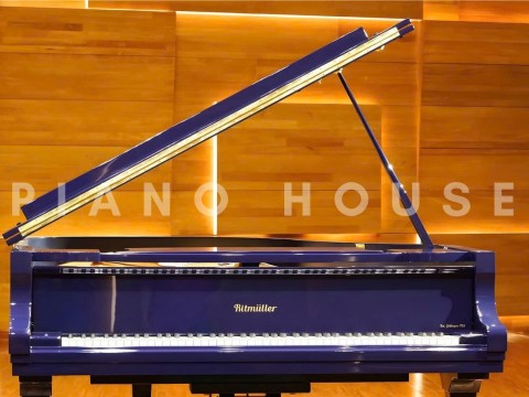 Ritmuller RS175 (Polished Blue)