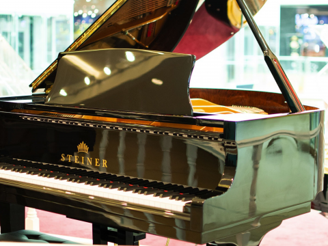 Steiner GP-152 Black Self-Playing