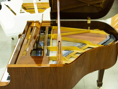 Steiner GP-152 Brown Self-Playing