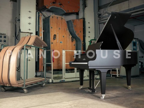 Schimmel Classic C169 The Black Pearl