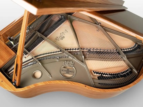 Schimmel Classic C169 Zebrano